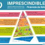 macro ope PIRAMIDE NAOS