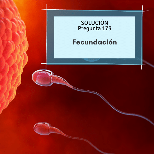 Pregunta OPE Enfermería 173: Fecundación