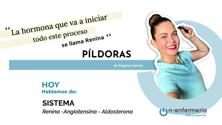 Sistema Renina -Angiotensina Aldosterona