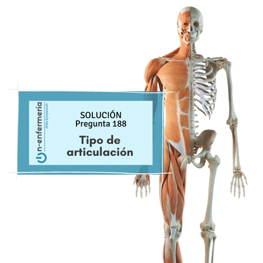 Pregunta examen OPE Enfermería nº 188: Tipo de articulación