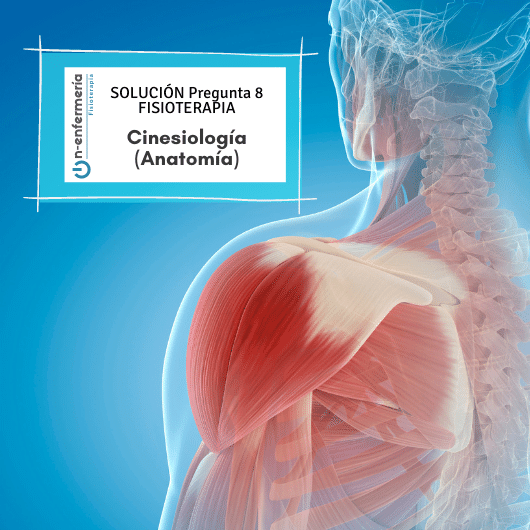 Solución fisioterapia nº 8 - Cinesiología