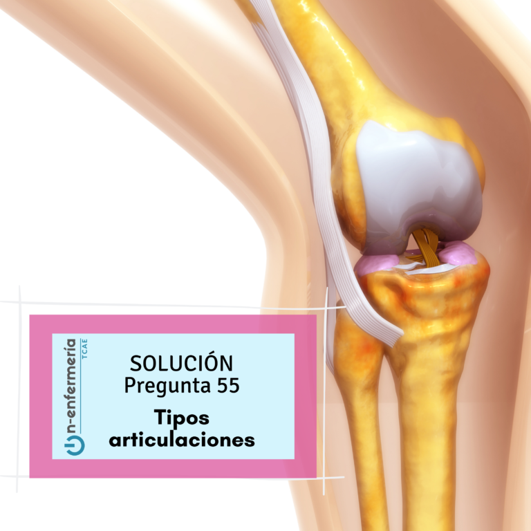 Solución nº55 TCAE - Tipos articulaciones