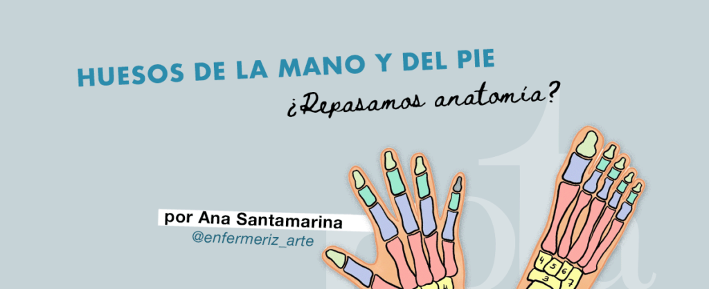 huesos de la mano y del pie