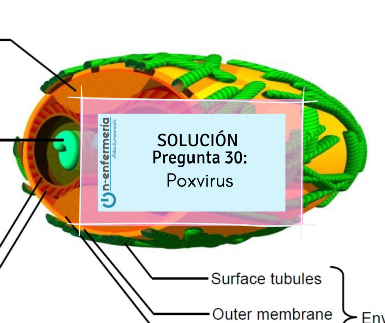 enfermería simulacros poxvirus