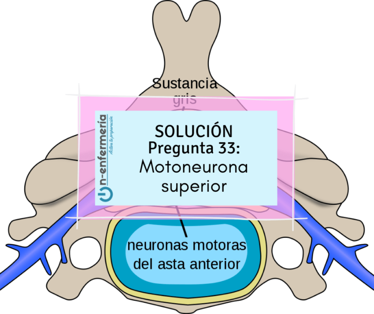 Oposiciones-enfermeria-motoneurona