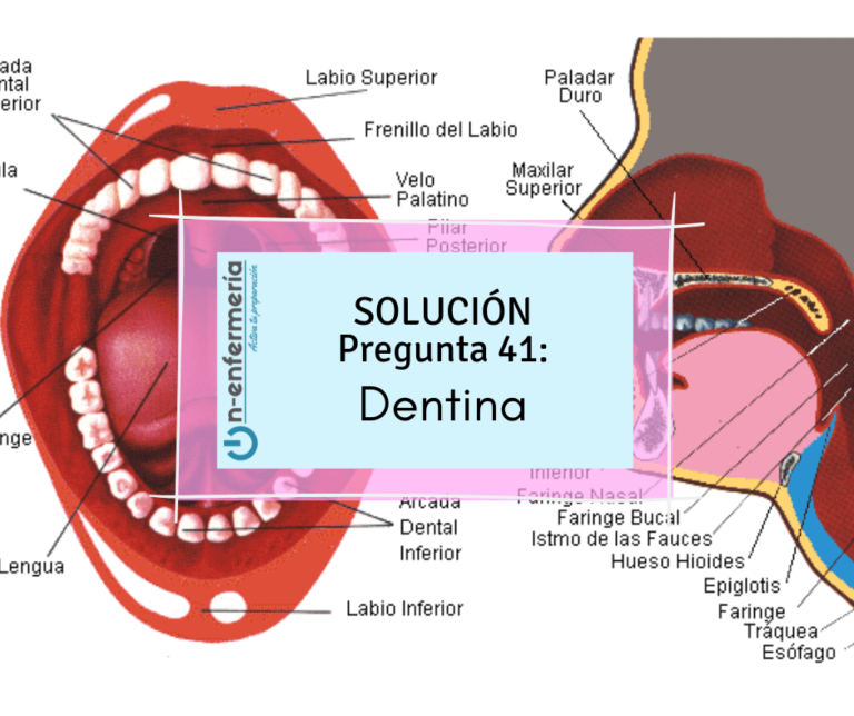 Pregunta Simulacros Enfermería 41: Dentina de una caries dentinaria