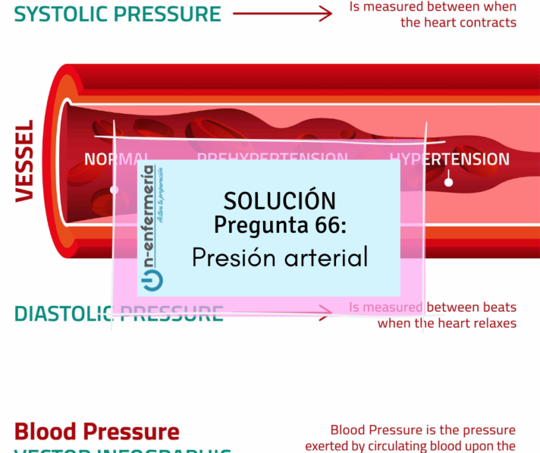 Oposición de enfermería 66: Presión arterial