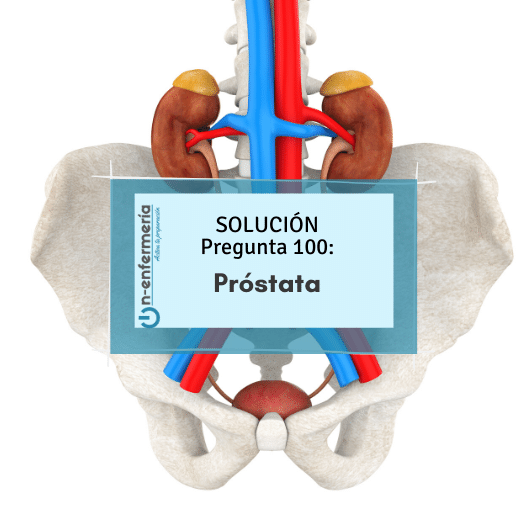 prostata-enfermeria-urologia