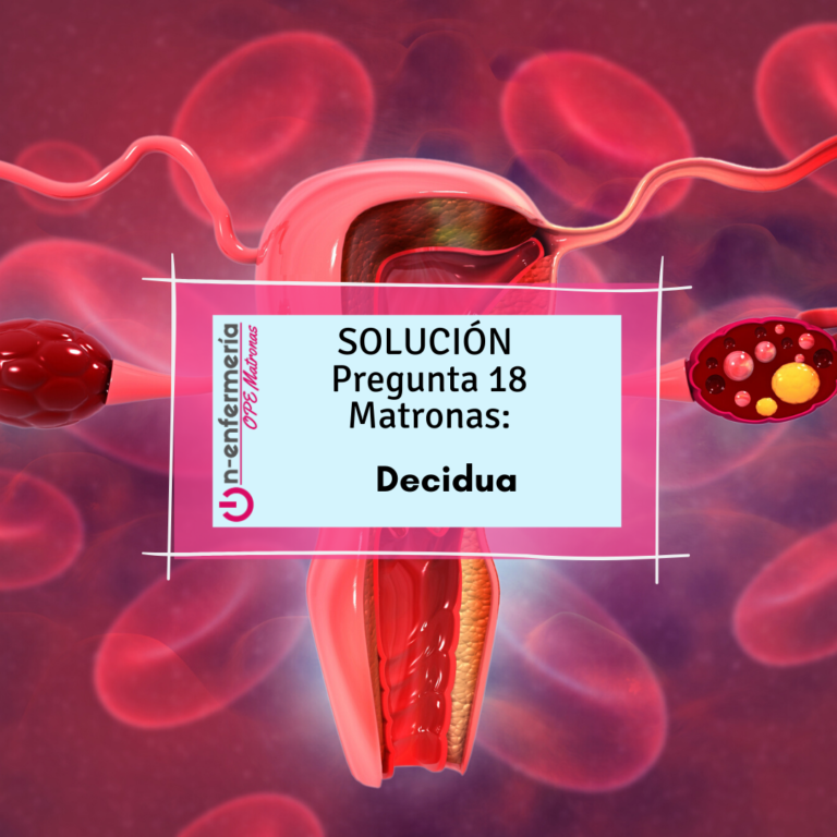 Pregunta Test Matronas 18: La decidua