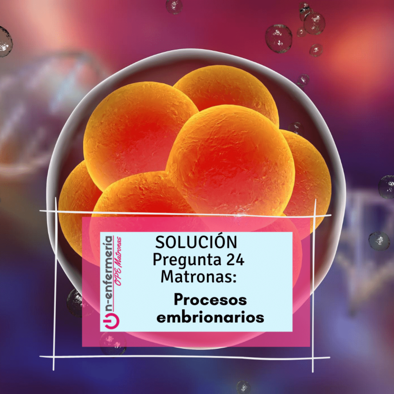 segmentación embionaria-onenfermeria-embiología