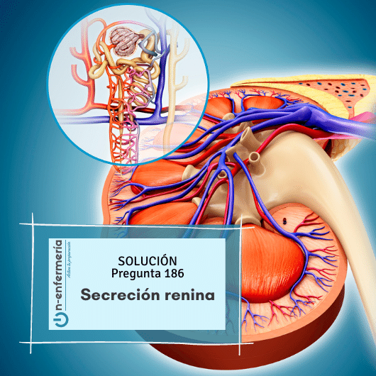 Pregunta examen OPE Enfermería nº 186: Secreción renina, nefro-urología