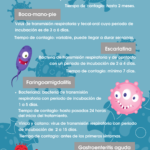 Infografía enfermedades infantiles infecciosas más frecuentes - temario procesos infecciosos OPE Enfermería y EIR