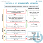 Infografía protocolo de reanimación neonatal