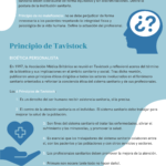 Infografía Principios de la bioética