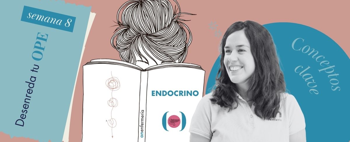 conceptos clave de endocrino